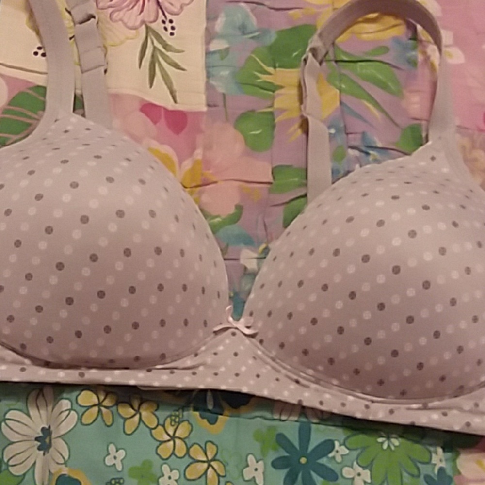 Gray bra - Picture 3 of 3